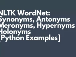 Nltk WordNet with Python Examples